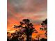 Beautiful sunset with colorful clouds and trees silhouetted in the foreground at 5 Reef Ct, Placida, FL 33946