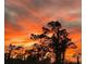 Sunset over the treeline gives this image a unique look at 5 Reef Ct, Placida, FL 33946