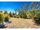 Expansive backyard space with mature landscaping, offering a private and serene outdoor retreat at 5441 Farley St, Port Charlotte, FL 33981