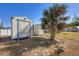 Outdoor shed is great for storage and features an adjacent palm tree at 6699 San Casa Dr # Q3, Englewood, FL 34224
