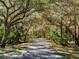 Scenic driveway winding through lush greenery and mature trees providing shade and privacy at 790 N River Rd, Venice, FL 34293