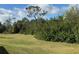 Large backyard showcasing expansive greenspace with surrounding foliage at 14244 Spruce Ln, Port Charlotte, FL 33953