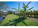 Spacious backyard featuring lush greenery, banana trees, and waterfront views at 14382 Lillian Cir, Port Charlotte, FL 33981