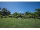 Lush green backyard featuring manicured landscaping and vibrant foliage at 14382 Lillian Cir, Port Charlotte, FL 33981