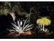 Night view featuring decorative landscape lighting around mature plantings at 14970 Appleton Blvd, Port Charlotte, FL 33981