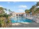Lap pool with palm trees, lounge chairs, and umbrellas at 19241 Serafina St, Venice, FL 34293