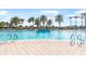Large community pool with lounge chairs and palm trees at 19241 Serafina St, Venice, FL 34293