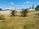 Backyard featuring a chain-link fence, green grass, and several small palm trees at 22032 Felton Ave, Port Charlotte, FL 33952