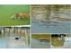 A collage of photos featuring manatees in their natural habitat at 11000 Placida Rd # 702, Placida, FL 33946
