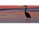 Silhouette of a heron bird standing on the beach against a colorful sunset sky at 2545 Geneva Rd, Venice, FL 34293
