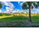 Lush backyard features vibrant green grass, a striking palm tree, and natural landscaping in a peaceful setting at 6610 Gasparilla Pines Blvd # 111, Englewood, FL 34224