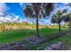 Expansive backyard view with lush green grass, scattered palm trees, and serene natural surroundings at 6610 Gasparilla Pines Blvd # 111, Englewood, FL 34224
