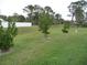 Large backyard with well-maintained grass and privacy fence at 6998 Dabarsky Ave, North Port, FL 34291