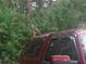 Hawk sitting on top of the roof of a red truck at 6998 Dabarsky Ave, North Port, FL 34291
