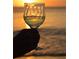 Enjoy a glass of wine while enjoying the views of the beach at sunset at 2727 N Beach Rd # 113, Englewood, FL 34223