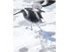 Shorebird standing in shallow ocean waters at 2727 N Beach Rd # 113, Englewood, FL 34223