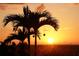 Picturesque sunset featuring silhouette of palm trees and native foliage, a tropical paradise to call home at 2727 N Beach Rd # 113, Englewood, FL 34223
