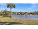 Scenic lake view with palm trees and lush greenery on a sunny day at 4 Sportsman Ln, Rotonda West, FL 33947
