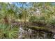 Lush backyard featuring tranquil water with plants and foliage at 746 Brentwood Dr, Venice, FL 34292