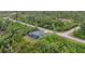 Overhead shot highlights home with screened pool, nestled among lush greenery, offering privacy and tranquility at 10782 Kearsarge Cir, Port Charlotte, FL 33981