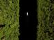 Aerial view of a serene waterway with a sailboat cutting through the calm waters between lush vegetation at 10782 Kearsarge Cir, Port Charlotte, FL 33981