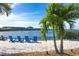 Scenic beach with blue Adirondack chairs and palm trees overlooking the peaceful water at 471 Capri Isles Ct, Punta Gorda, FL 33950
