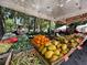 Vibrant outdoor market stand overflowing with fresh fruits and vegetables under a shaded canopy at 107 Jose Gaspar Dr, Englewood, FL 34223