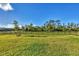 Spacious backyard featuring lush green grass and a secure black fence at 1824 Saddlewood Cir, Port Charlotte, FL 33953