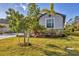 Beautiful front yard with palm trees, stone accents, and lush green grass at 1824 Saddlewood Cir, Port Charlotte, FL 33953