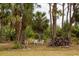 A spacious backyard with a wooded backdrop provides a serene outdoor living space at 3021 Holly Ave, Englewood, FL 34224