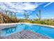 Backyard pool with a brick paver deck, surrounded by palm trees and lush vegetation at 50 Tarpon Way, Placida, FL 33946