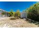 Backyard shed behind the house and screened patio at 7328 Yardley St, Englewood, FL 34224