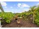 Landscaped backyard featuring a bird bath, palm tree, and a variety of plants and flowers, creating a vibrant outdoor space at 7339 Thomas St, Englewood, FL 34224