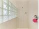 Enclosed shower with glass block window providing natural light at 10640 Ayear Rd, Port Charlotte, FL 33981