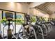 A row of state-of-the-art elliptical machines with views of lush landscaping at 5000 Gasparilla Rd # Vh37, Boca Grande, FL 33921