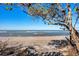 Sandy beach with blue ocean in the background framed by native trees, brush and dune vegetation at 6035 Manasota Key Rd, Englewood, FL 34223