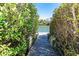 View of wooden dock bordered by lush greenery leads out to beautiful water views at 62 Tarpon Way, Placida, FL 33946