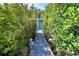 Pathway through lush greenery leading to a private wooden dock and beautiful waterfront views at 62 Tarpon Way, Placida, FL 33946
