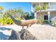 Unique wooden dolphin statue perched on a rock in the front yard of a beautiful tropical home at 62 Tarpon Way, Placida, FL 33946
