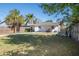 Wide backyard features a grassy lawn, a wooden fence, and mature palm trees at 7120 36Th N Ave, St Petersburg, FL 33710