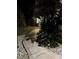 Illuminated walkway surrounded by tropical landscaping, leading to an inviting front entrance at 9325 Saint Paul Dr, Port Charlotte, FL 33981