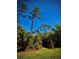 Private backyard boasts lush landscaping, with tall pines, palm trees, and garden areas for peaceful relaxation and enjoyment at 13244 Doral Ave, Port Charlotte, FL 33953