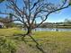 Beautiful backyard with a pond view and mature trees creating a serene outdoor space at 220 Southampton Drive # 325, Venice, FL 34293