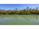 Serene water view showcasing the natural beauty of the surrounding mangrove trees and the calm waterway at 310 Kettle Harbor Dr, Placida, FL 33946
