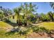 A vibrant backyard with a screened lanai, lush greenery, and outdoor charm at 850 Van Gogh Road, Englewood, FL 34223