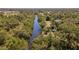 Scenic aerial perspective of a river flowing through lush greenery and trees at 2020 E Dolphin Dr, Englewood, FL 34223