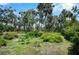 Lush greenery and tall palms surround the backyard area with an open hammock at 2020 E Dolphin Dr, Englewood, FL 34223
