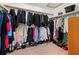Walk-in closet with clothing racks, shelves, and carpeted floors at 2020 E Dolphin Dr, Englewood, FL 34223