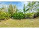 Lush backyard featuring diverse tropical plants and greenery, creating a private oasis at 533 Boundary Blvd, Rotonda West, FL 33947