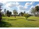 Large grassy backyard with mature landscaping, offering plenty of space for outdoor activities and relaxation at 60 N Oxford Dr, Englewood, FL 34223
